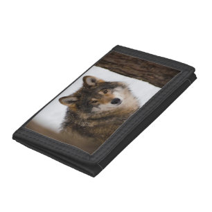 European grey wolf trifold wallet