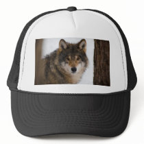 European grey wolf trucker hat