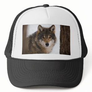 European grey wolf trucker hat