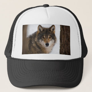 European grey wolf trucker hat