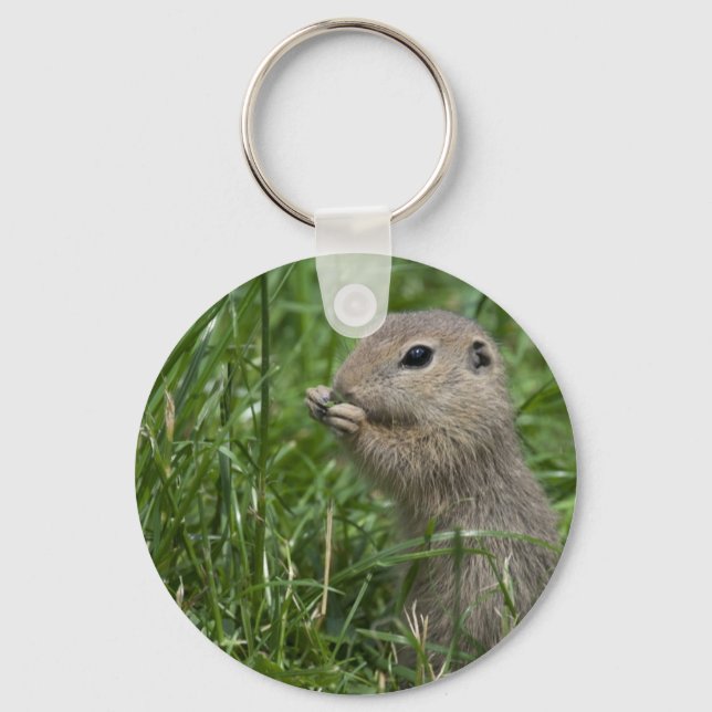 European ground squirrel keychain (Front)