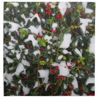 European Holly with Snow Cloth Napkin