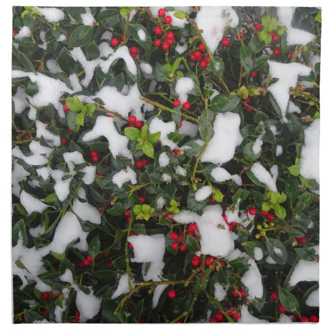 European Holly with Snow Cloth Napkin (Front)