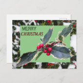 European Holly with Snow Merry Christmas Postcard (Front/Back)