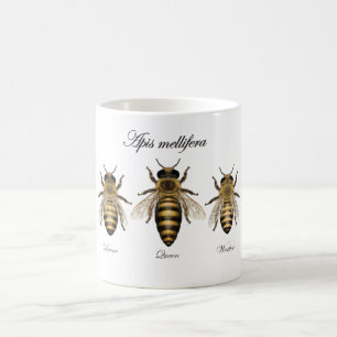 European honey bee (Apis mellifera) Coffee Mug