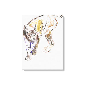 European Lynx Canvas Print