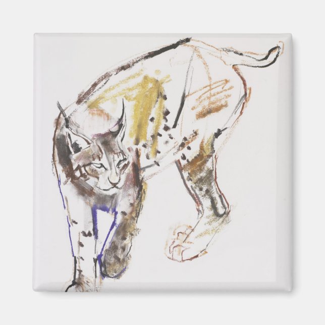 European Lynx Magnet (Front)