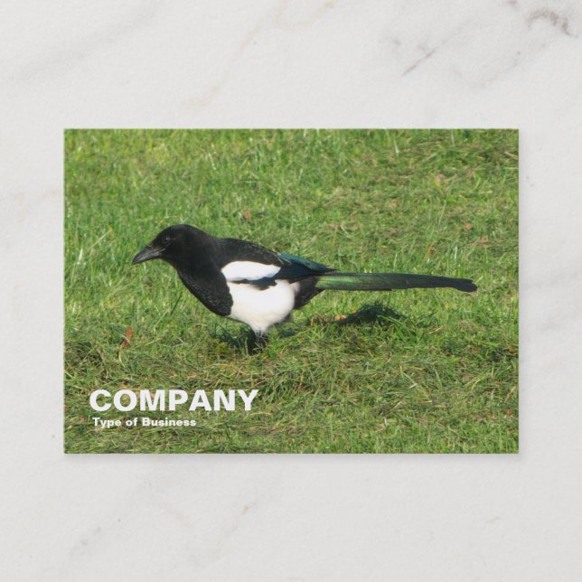 European Magpie Business Card (Front)