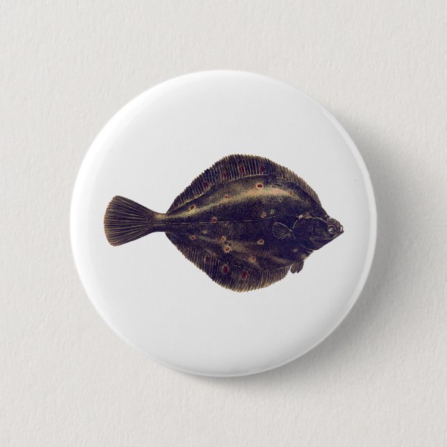 European Plaice Button (Front)