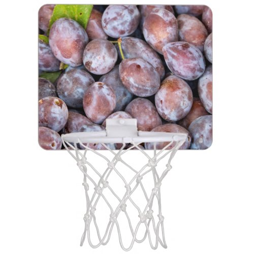 European plums mini basketball hoop