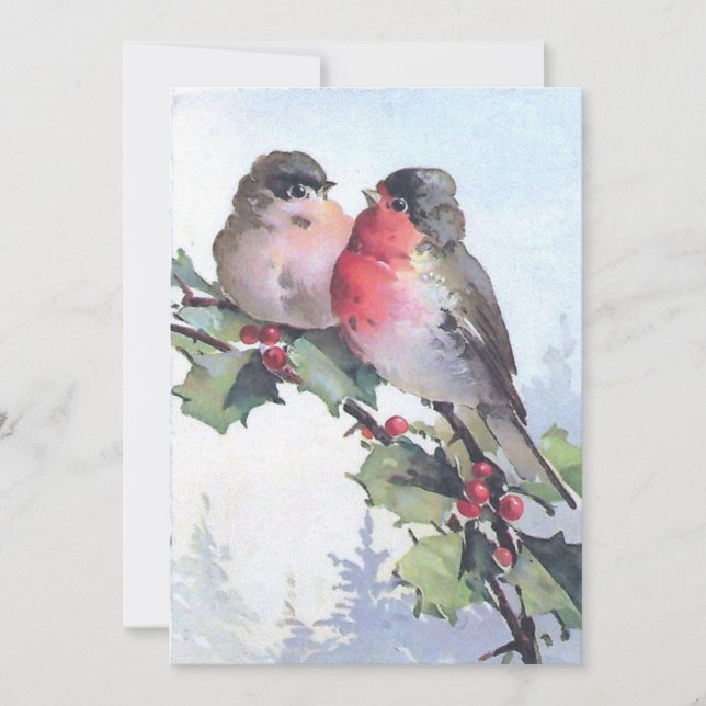 European Robin Bird Holly Christmas Vintage  Holiday Card (Front)