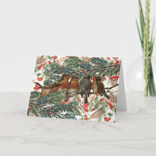 European Robin Birds Christmas Holiday Red Ribbon Card