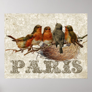 European Robin Birds Nest Paris Decoupage Vintage Poster