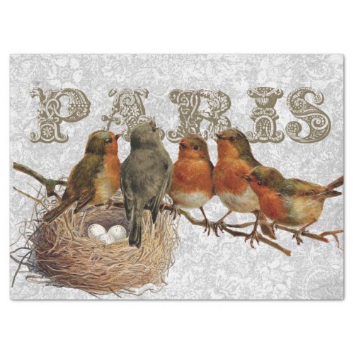 European Robin Birds Nest Paris Decoupage Vintage Tissue Paper