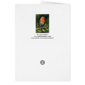 European Robin Cards (Back)