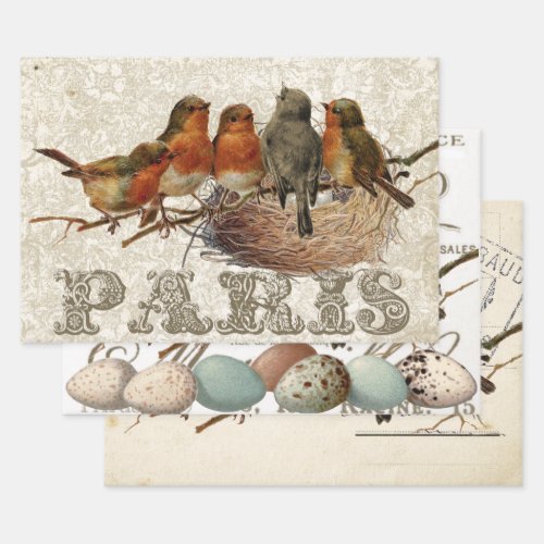 European Robin French Script Nest Egg Postmark Set Wrapping Paper Sheets