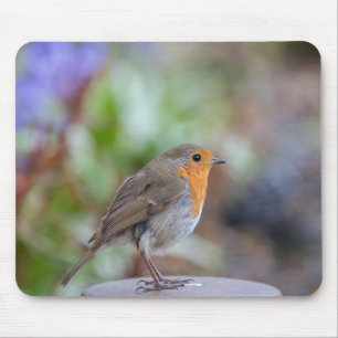 European Robin mouse mat