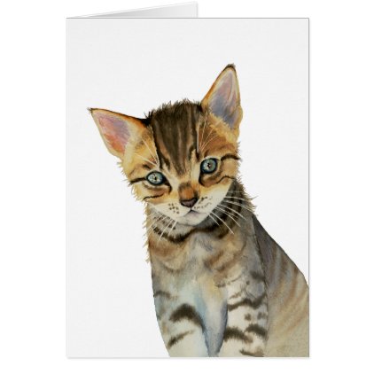 European Shorthair Kitten Watercolor Painting Card