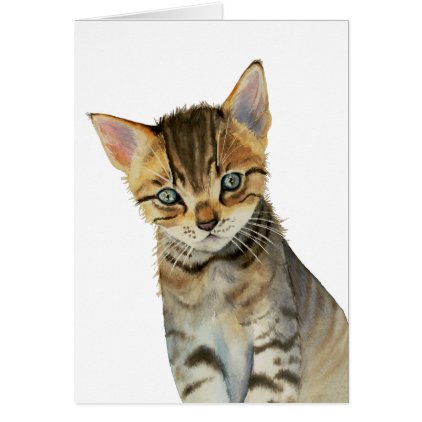 European Shorthair Kitten Watercolor Painting Card