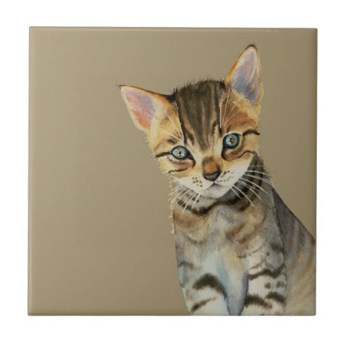 European Shorthair Kitten Watercolor Painting Ceramic Tile
