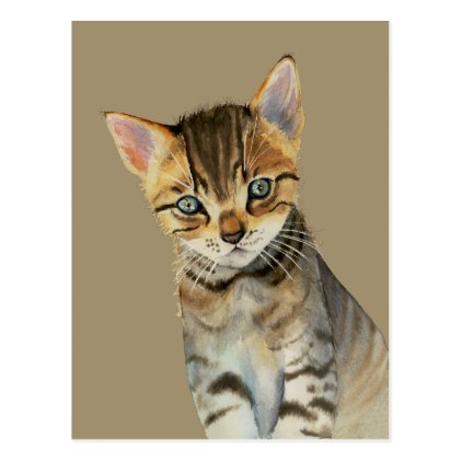 European Shorthair Kitten Watercolor Painting Postcard