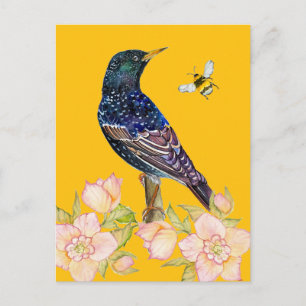 European Starling Bird Watercolor Postcard