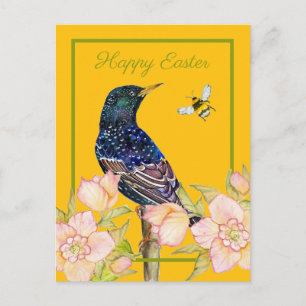 European Starling Bird Watercolor Postcard