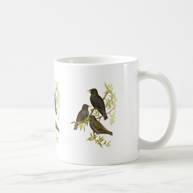 European Starling Coffee Mug (Right)