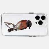  European Stonechat Bird (Saxicola Rubicola)  Speck iPhone Case (Horz)