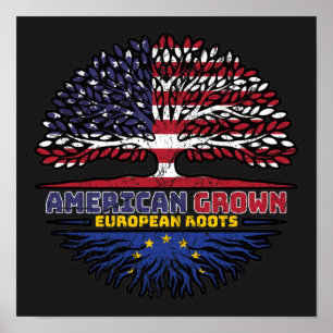 European Union EU Europe US American USA United Poster