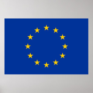 European Union flag Poster