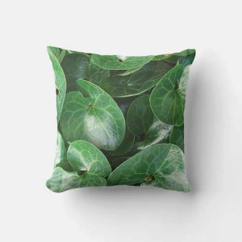 European Wild Ginger Plant Glossy Leaves Close Up Throw Pillow