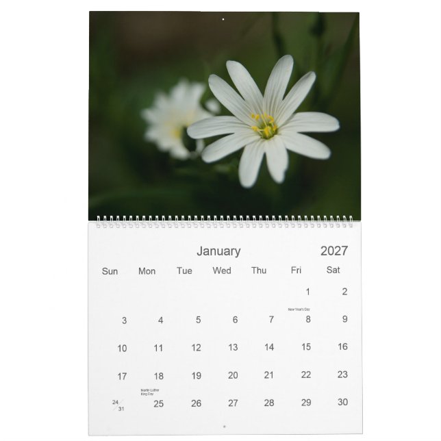 European Wildfowers 2009 Calendar (Jan 2027)
