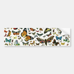 Europe's Best-Known Butterflies and Moths Collage Bumper Sticker