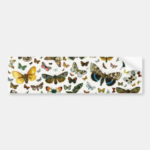 Europe's Best-Known Butterflies and Moths Collage Bumper Sticker