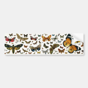 Europe's Best-Known Butterflies and Moths Collage Bumper Sticker