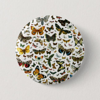 Europe's Best-Known Butterflies and Moths Collage Button