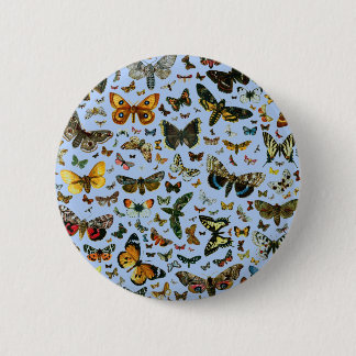 Europe's Best-Known Butterflies and Moths Collage Button