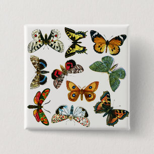 Europe's Best-Known Butterflies and Moths Collage Button
