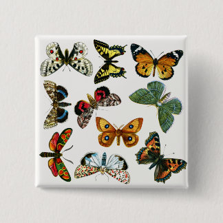 Europe's Best-Known Butterflies and Moths Collage Button