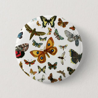 Europe's Best-Known Butterflies and Moths Collage Button