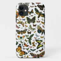 Europe's Best-Known Butterflies and Moths Collage