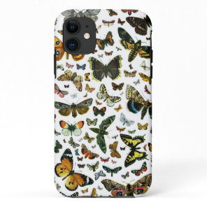 Europe's Best-Known Butterflies and Moths Collage iPhone 11 Case