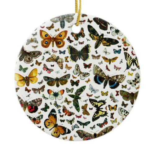 Europe's Best-Known Butterflies and Moths Collage Ceramic Ornament