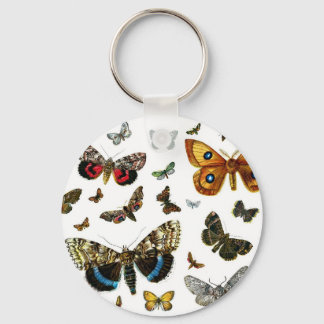 Europe's Best-Known Butterflies and Moths Collage Keychain