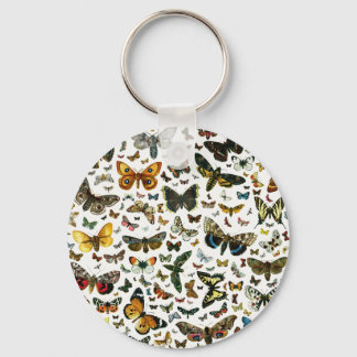 Europe's Best-Known Butterflies and Moths Collage Keychain
