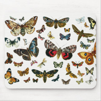 Europe's Best-Known Butterflies and Moths Collage Mouse Pad