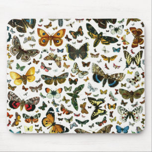 Europe's Best-Known Butterflies and Moths Collage Mouse Pad