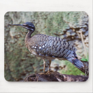 Eurypyga helias Sunbittern Mouse Pad