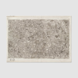 Evaux Tissue Paper